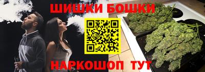 прущие крисы Шелехов