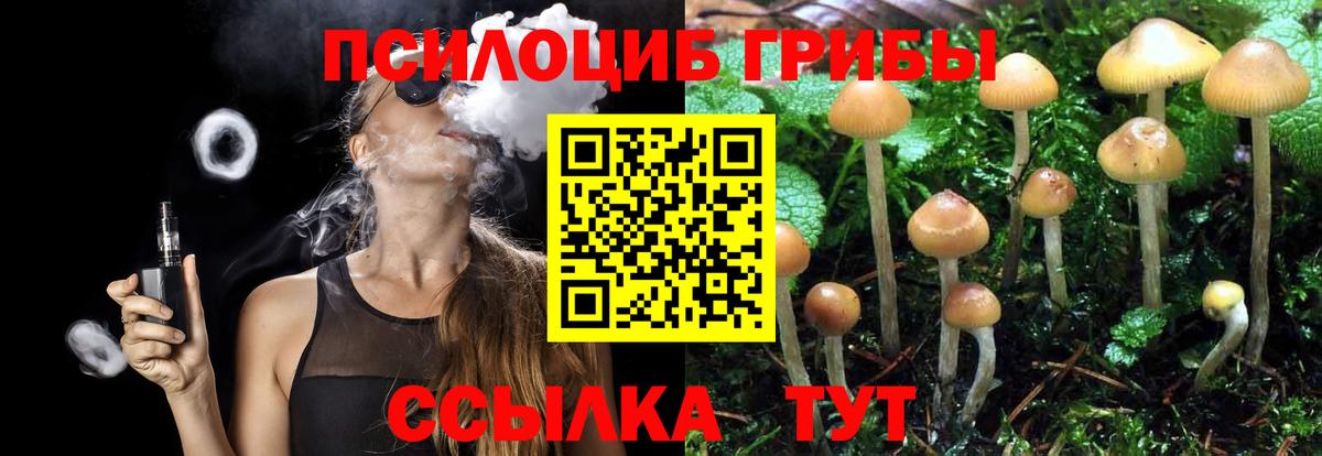 Галлюциногенные грибы прущие грибы  Вход с VPN  Канаш 