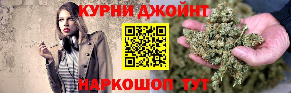 Канабис ГИДРОПОН Канаш